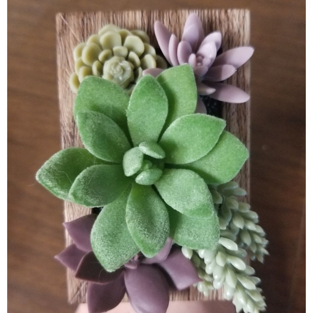 Succulents Wallflower Bath and Body Works